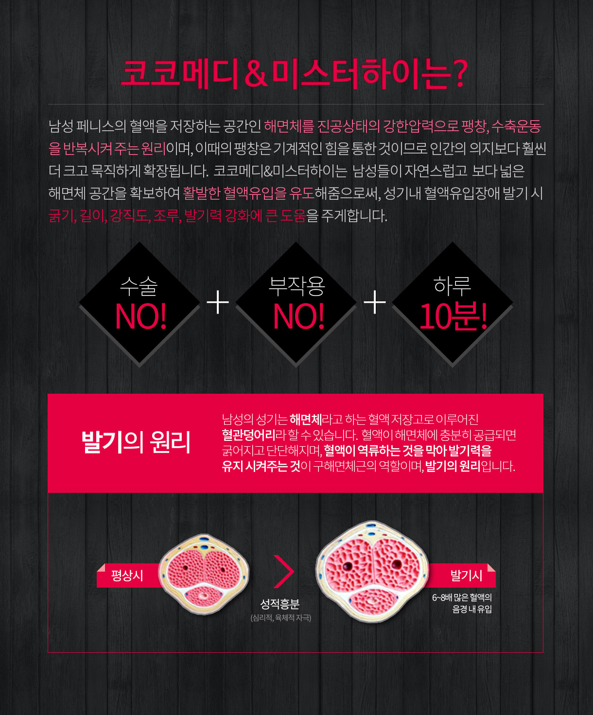 코코메디n미스터하이