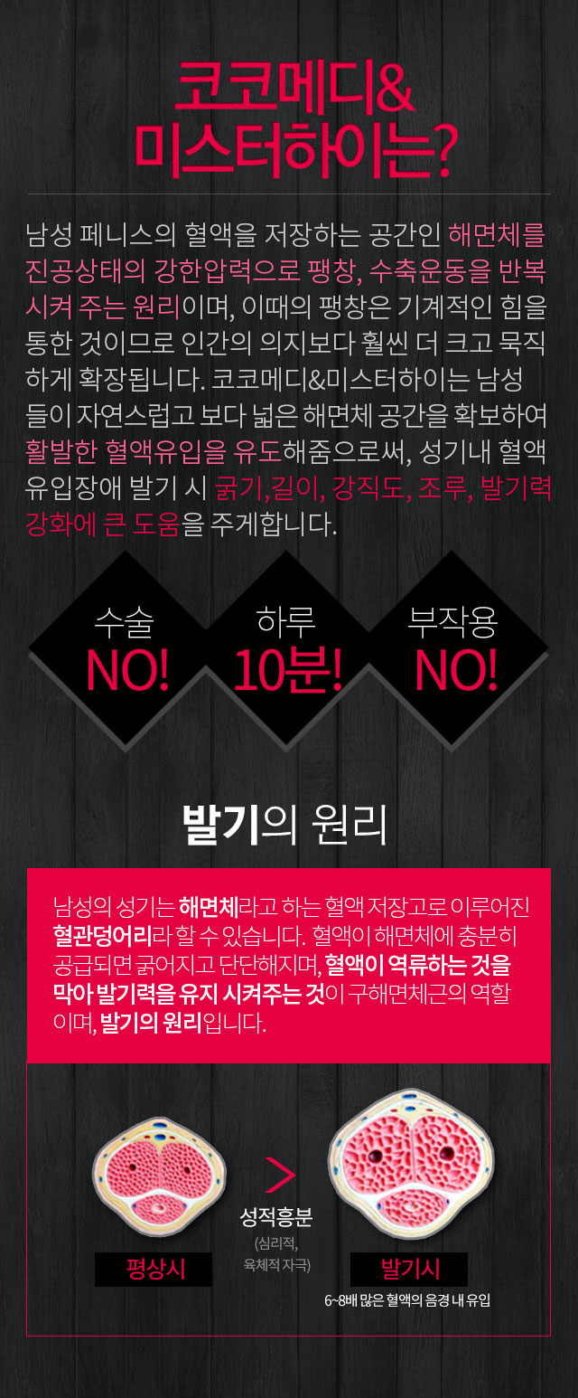 미스터하이? 발기의원리