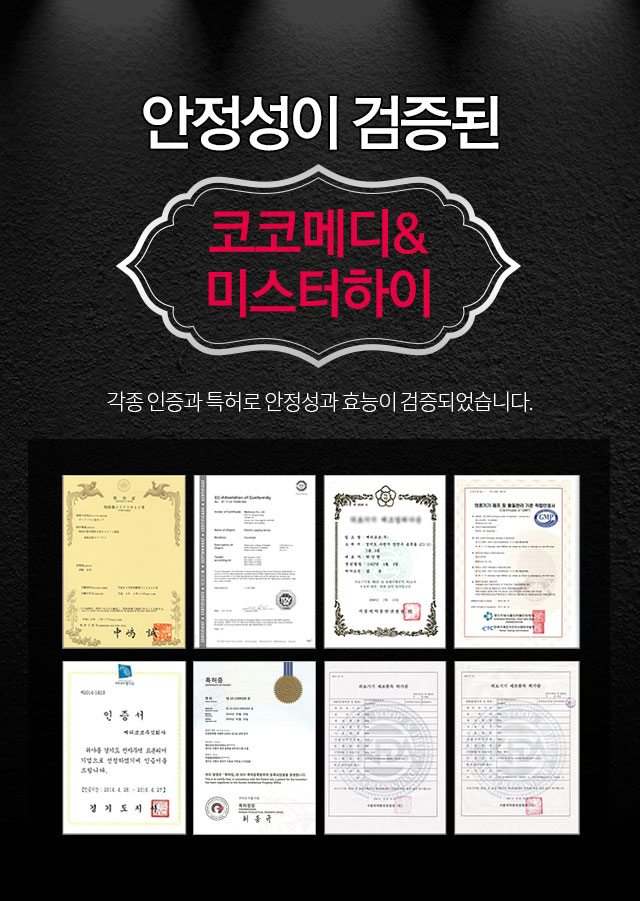 안전성 검증